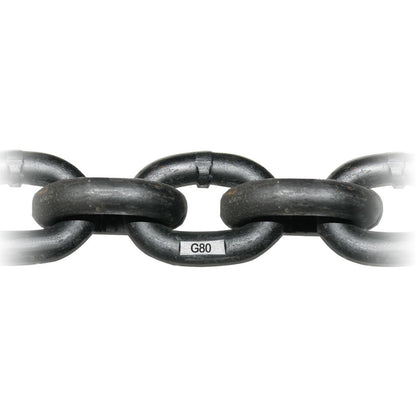 3/8 Inch G80 Alloy Chain - Safe Working Load: 7100 Lbs. - 1 Foot