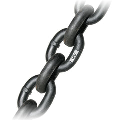 3/8 Inch G80 Alloy Chain - Safe Working Load: 7100 Lbs. - 1 Foot